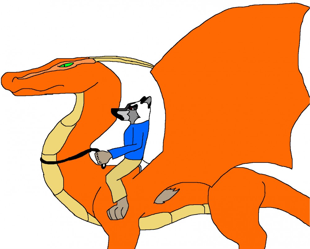 Dragon Rider