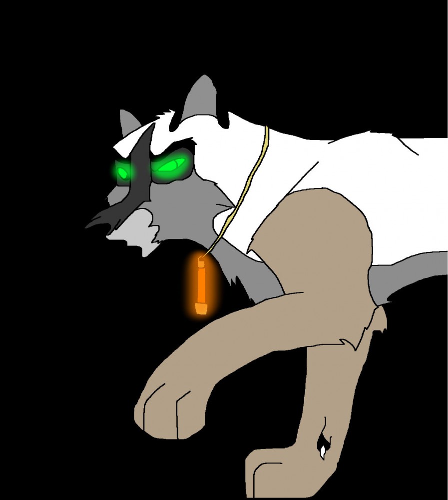 Dragon Eyes
