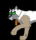 Dragon Eyes