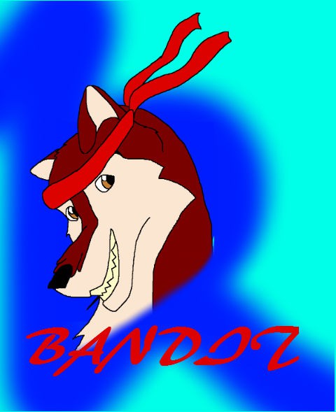 Bandit 