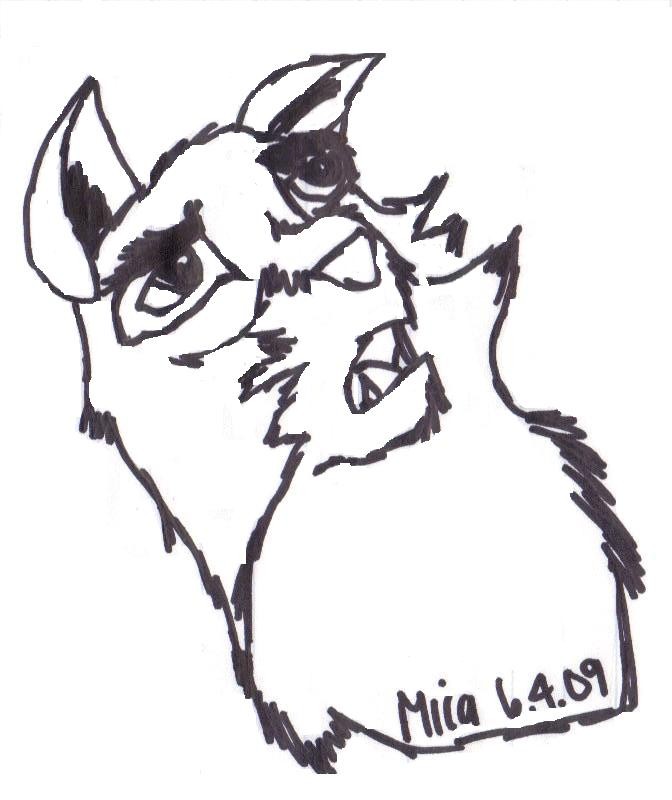 Balto.