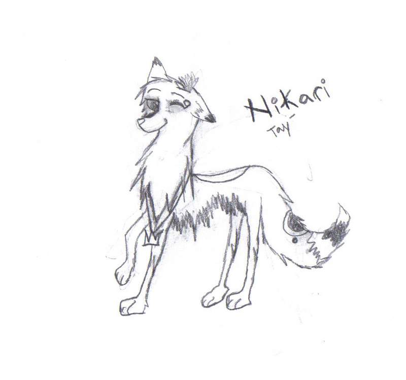 Hikari happy