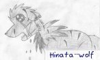 hinata_wolf