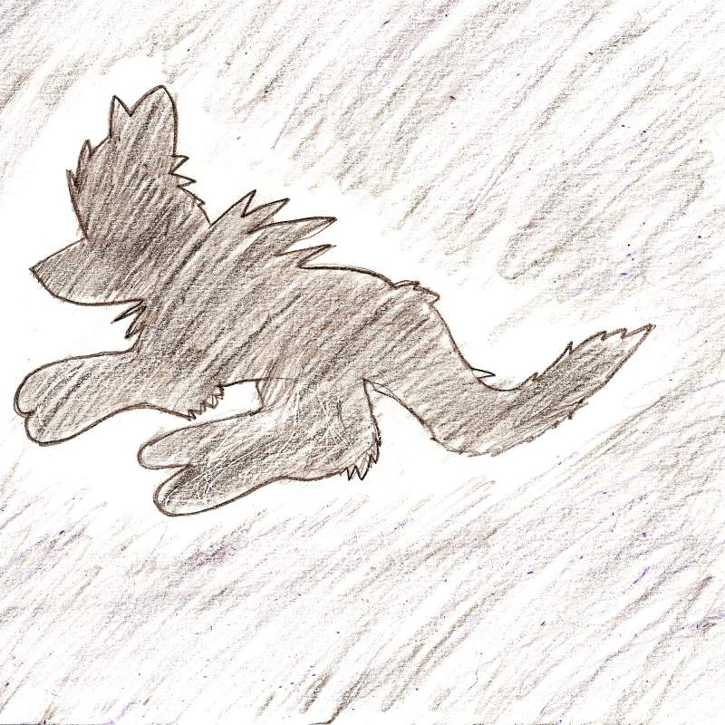 Shadow