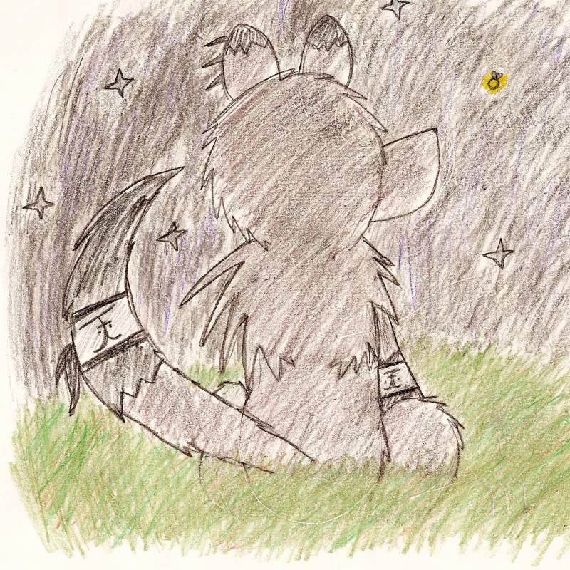 Stars