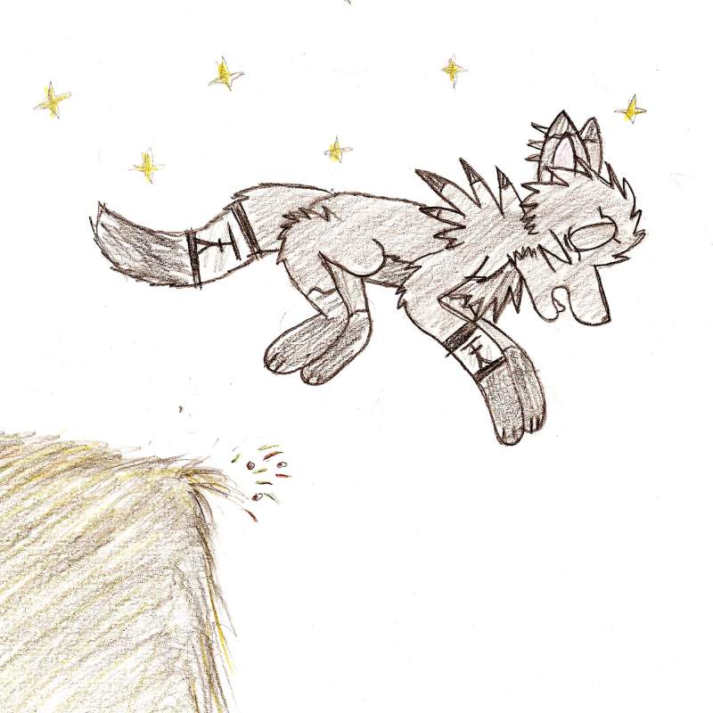 Leap of Faith