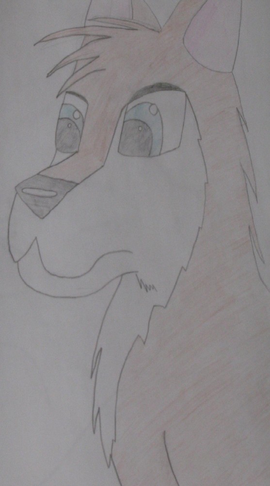 Aleu