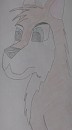 Aleu