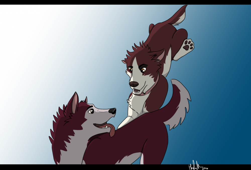 Sibling Race
