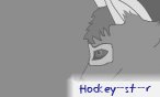 hockey_st_r