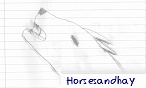 horsesandhay