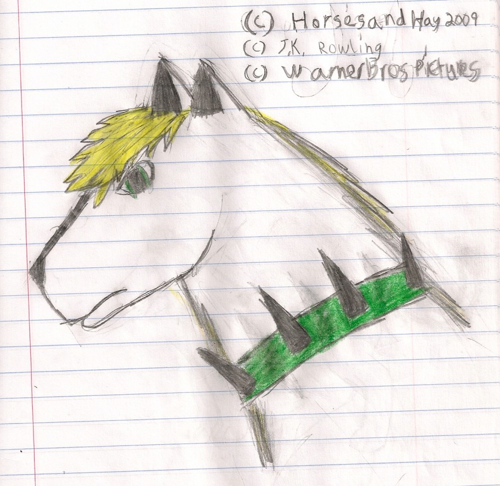 Draco Malfoy Wolf