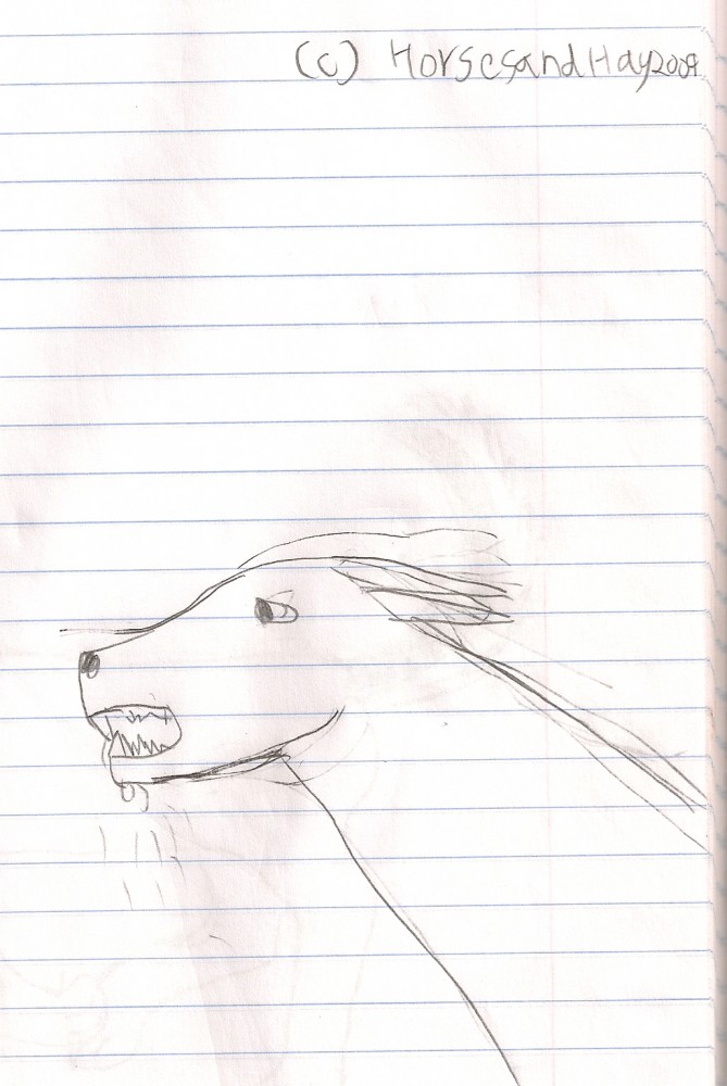 Slobering Dog