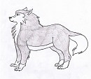 Unknown wolf