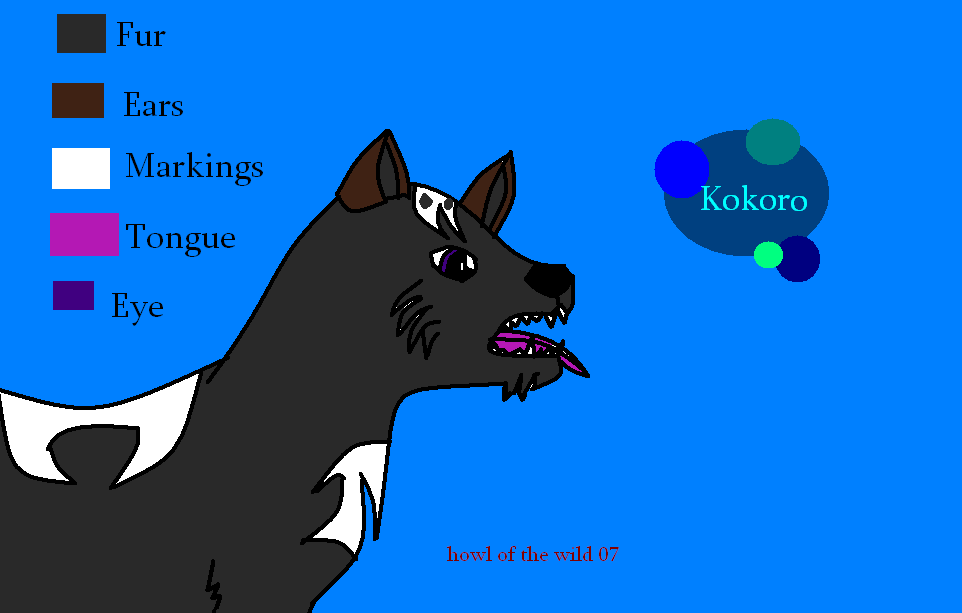 Kokoro my character