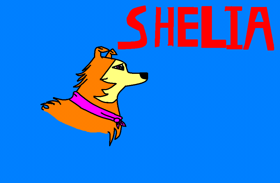 Shelia