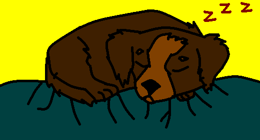 Sleepy pup