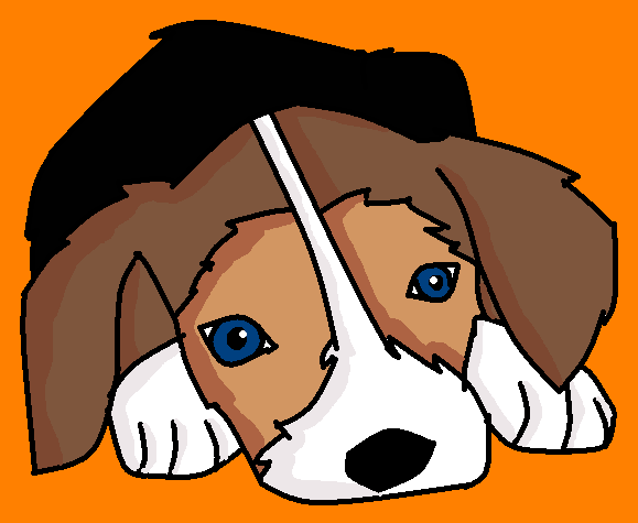 Beagle pup