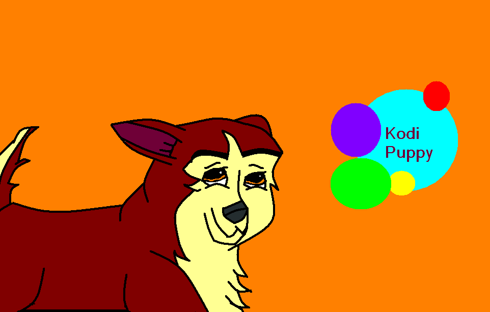 Kodi puppy