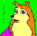 Shelia :)