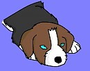 Fed up pup