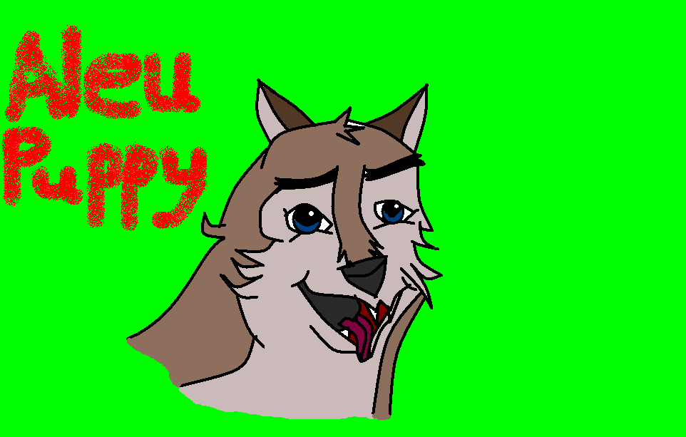 Aleu puppy