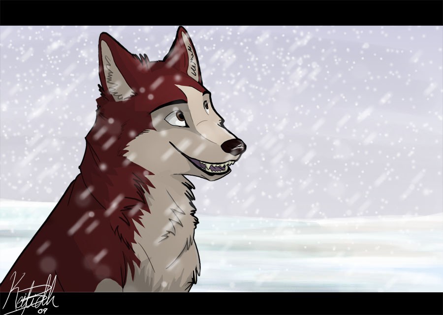 The Snow