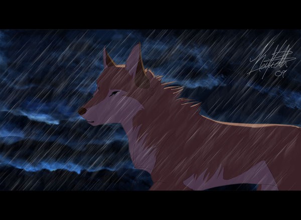 The Magic of Rain