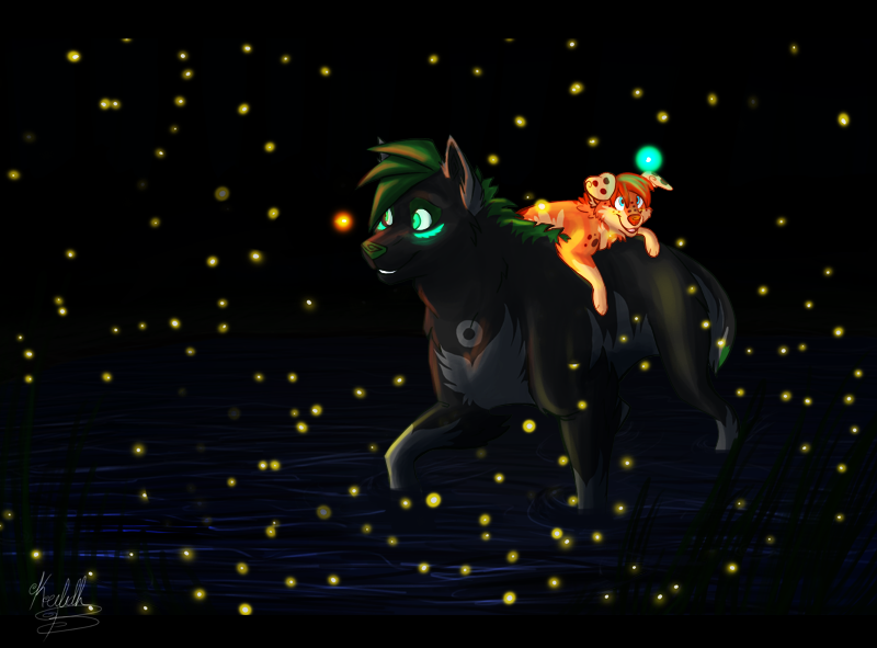 Fireflies + video draw