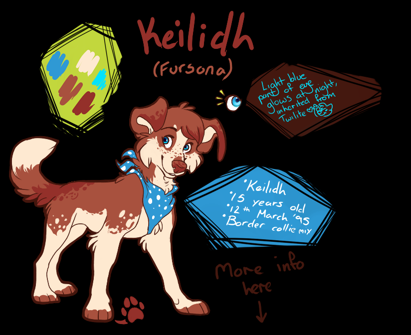 fursona ref