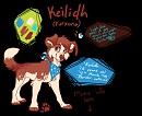 fursona ref