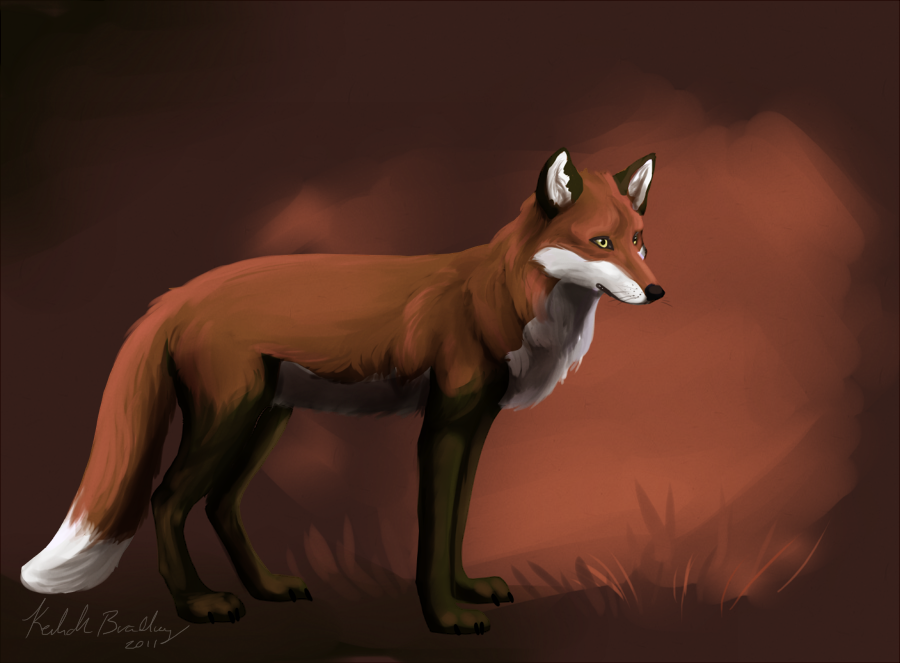 Douglas speedpaint