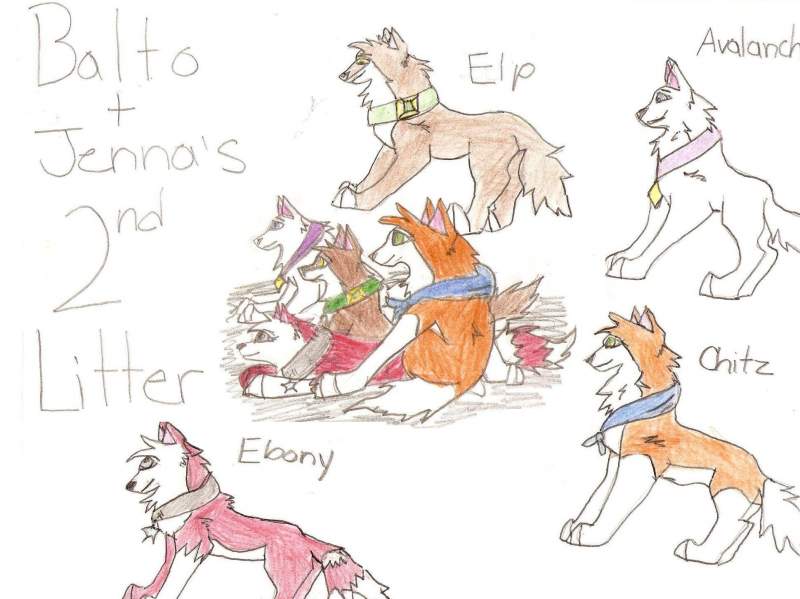 Balto and Jenna's second litter