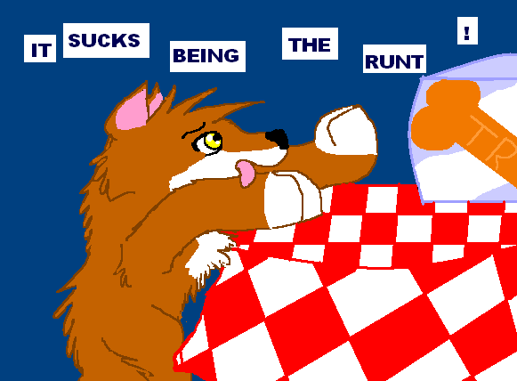 Runts