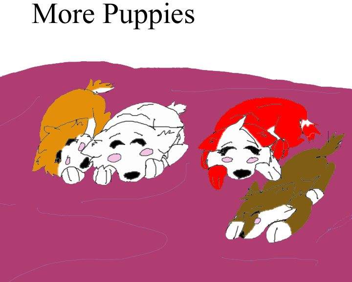 More Puppies