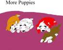 More Puppies