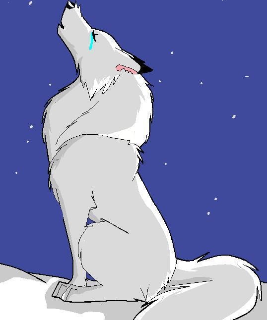crying howl