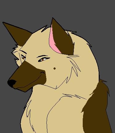 gift for teal-husky