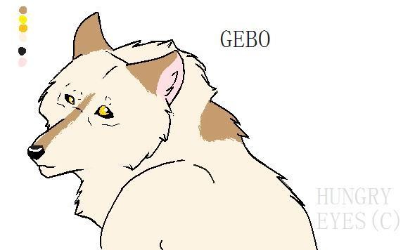 gebo for akreon