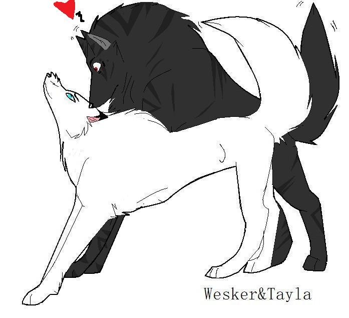 wesker and tayla meet again o.0