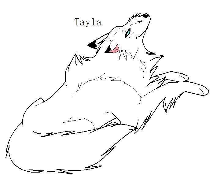 tayla ^^