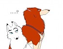 tayla meets duce 0.o