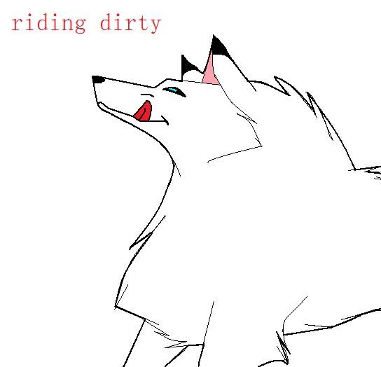 riding dirty