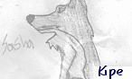 Kipe