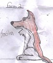 Sasha's real form