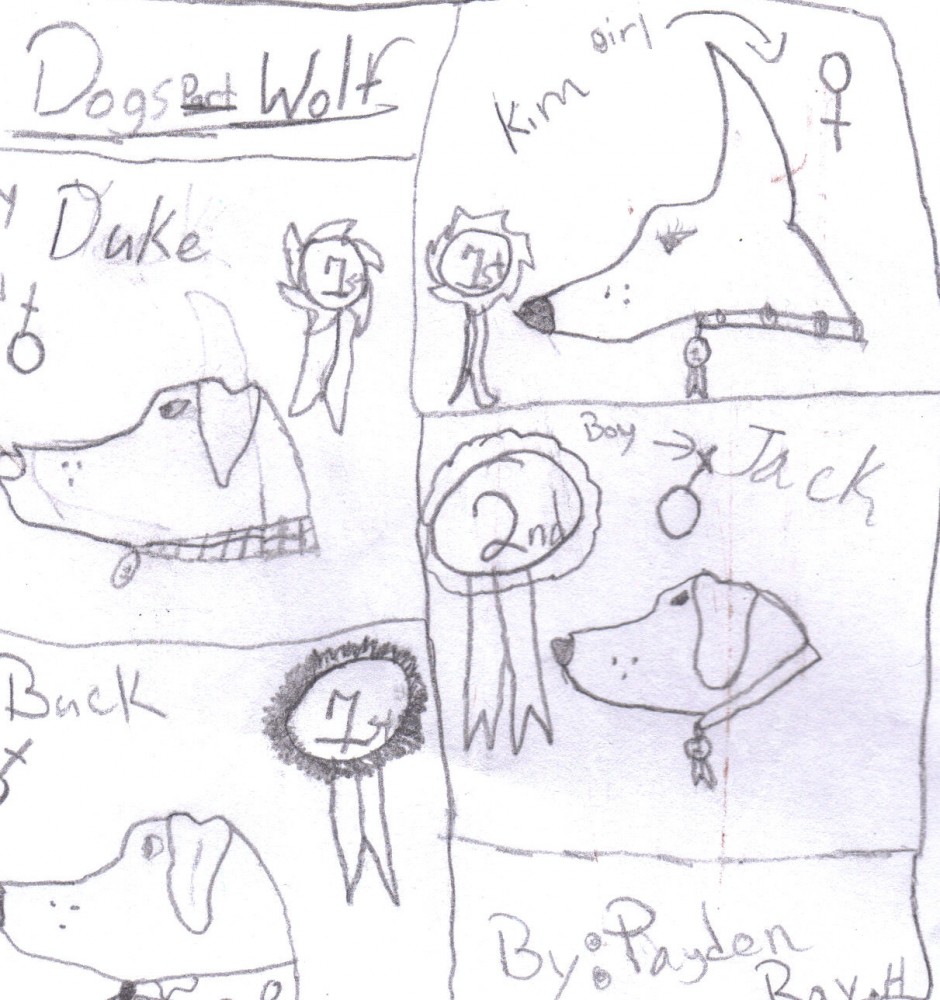 Wolf dogs