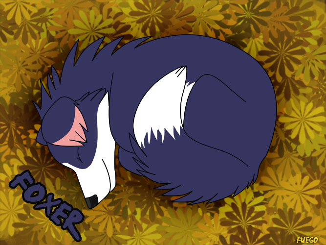 Foxer Sleeping