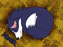 Foxer Sleeping