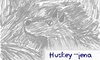 huskey_jena