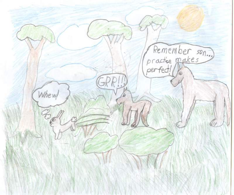 A wolf's first hunt